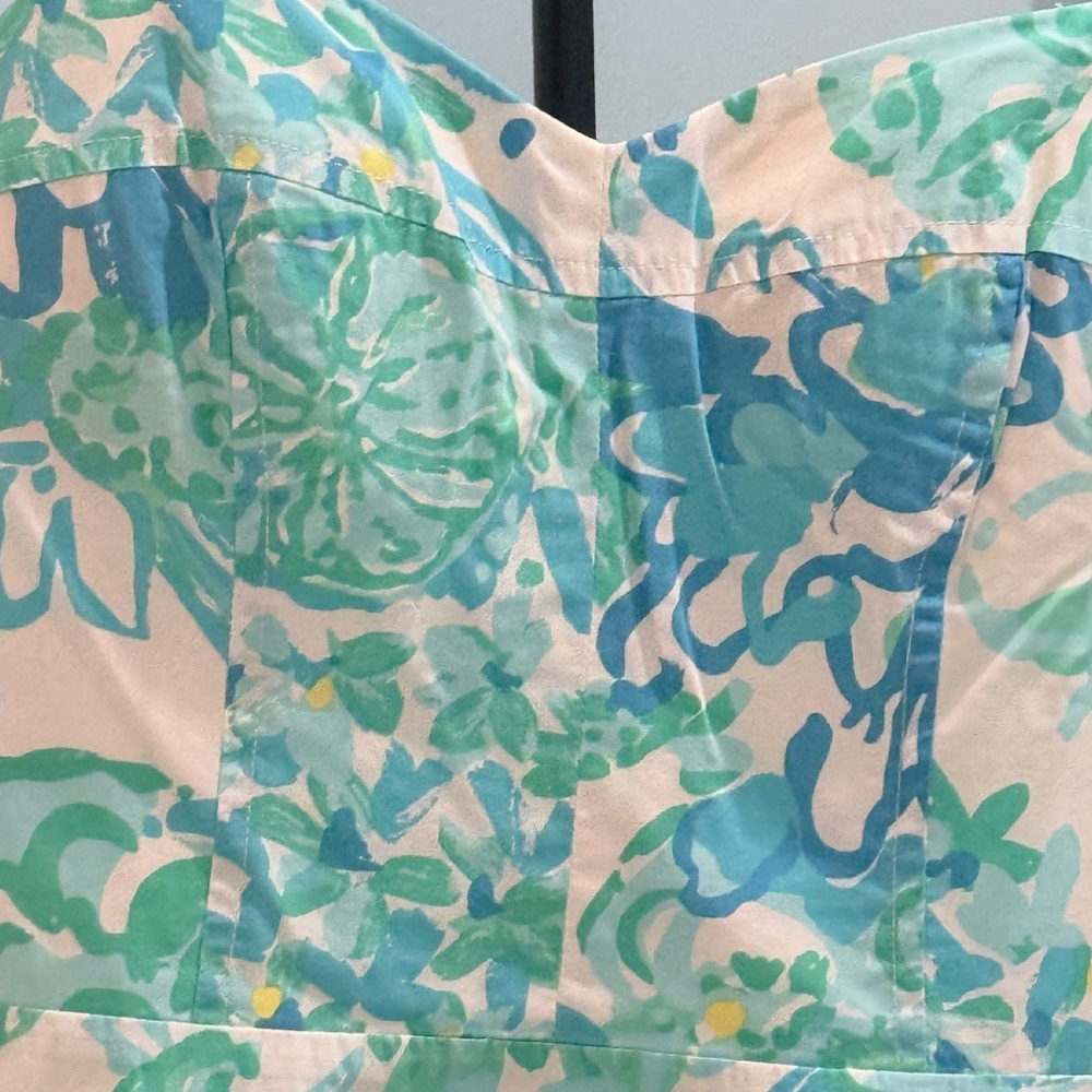 Lily Pulitzer Dress - Picture 3 of 4